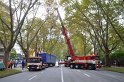 LKW verliert Auflieger Koeln Boltensternstr Pasteurstr P1990